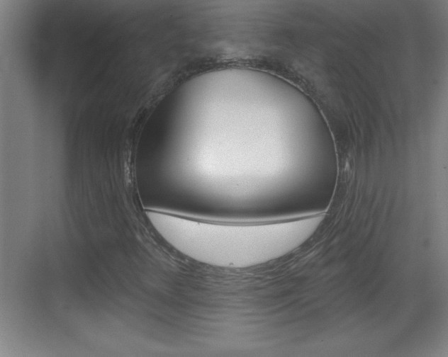 X0000069791348200605190833