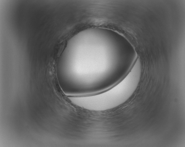 X0000069791349200605190833