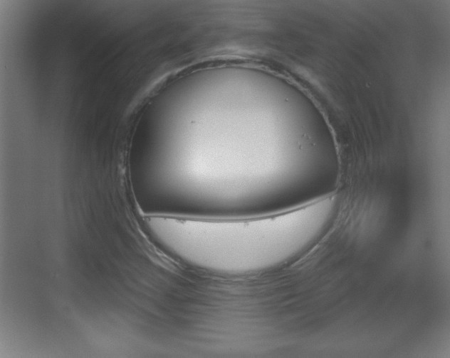 X0000069791355200605190833