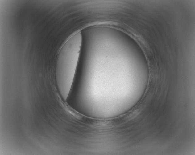 X0000069791369200605190833