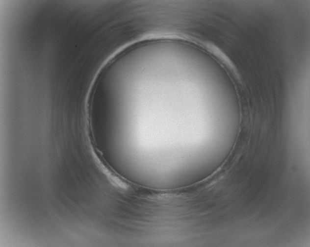 X0000069791380200605190832