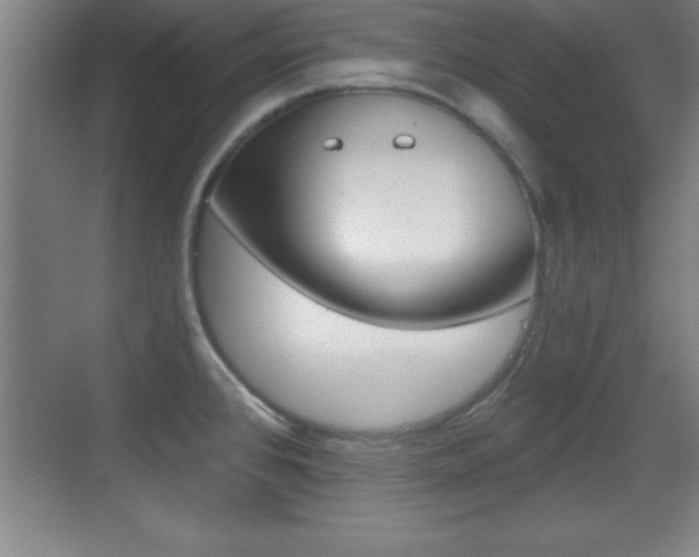 X0000069791384200605190832