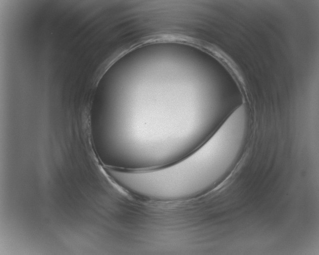 X0000069791385200605190832