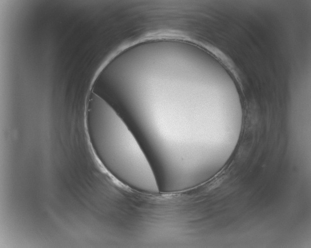 X0000069791390200605190832