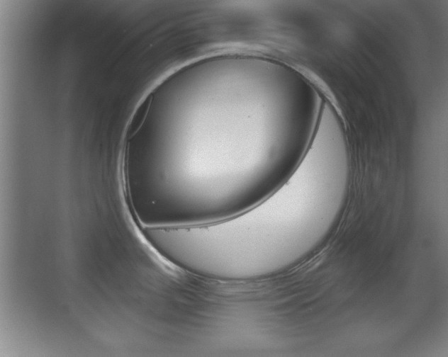 X0000069791391200605190832