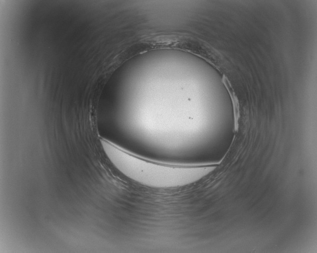 X0000069791394200605190831
