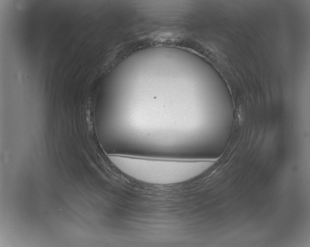 X0000069791396200605190831