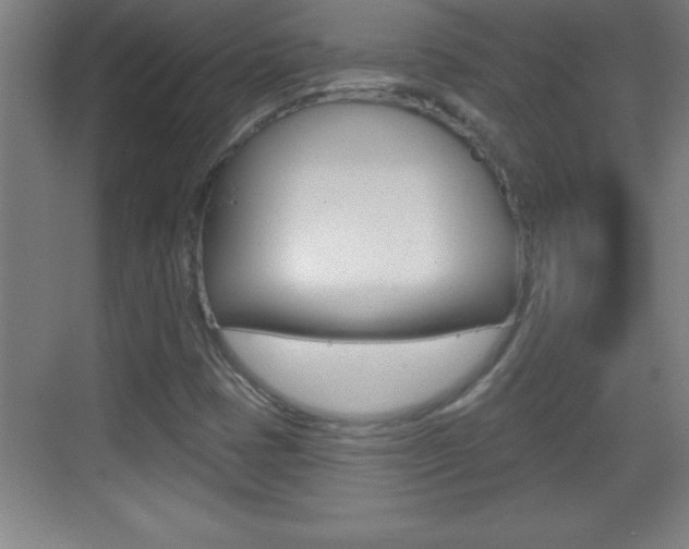 X0000069791401200605190831