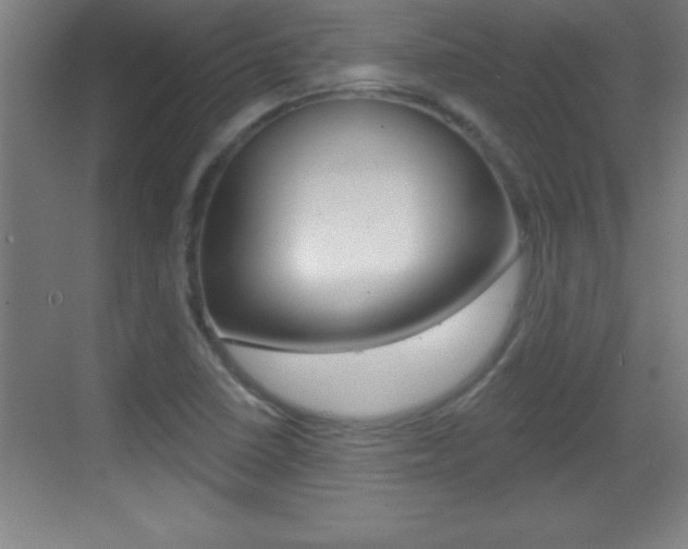 X0000069791410200605190832