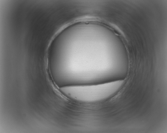 X0000069791413200605190832