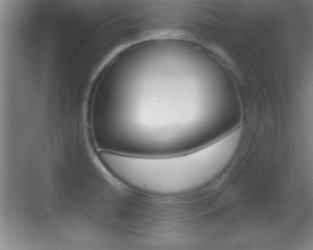 X0000069791422200605190832