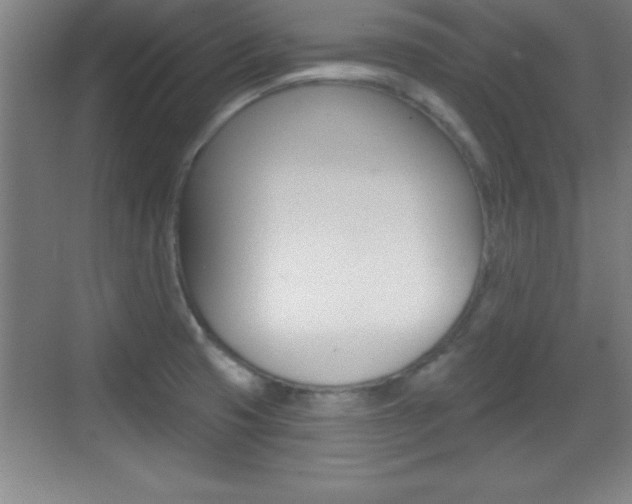 X0000069791425200605190832