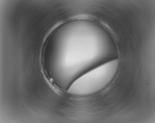 X0000069791426200605190832