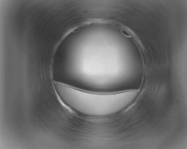 X0000069791433200605190832