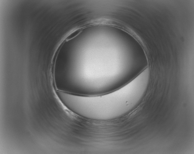 X0000069791434200605190832