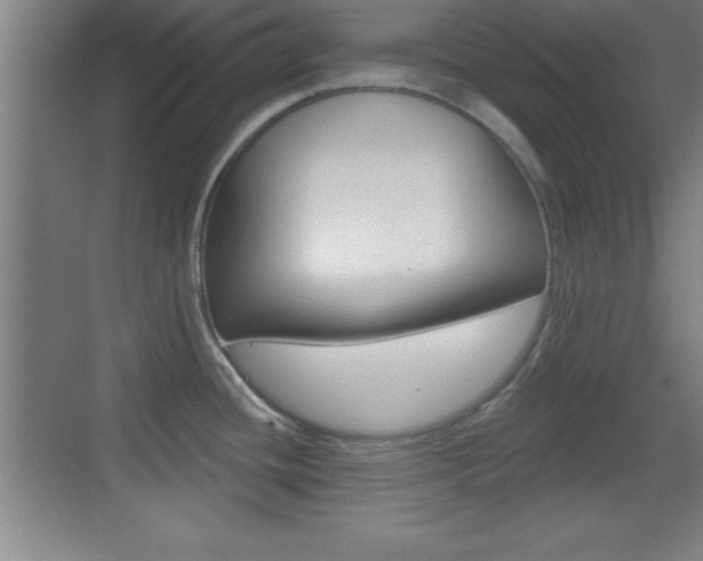 X0000069791436200605190832