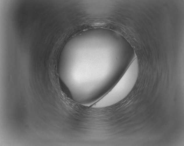 X0000069791441200605190831