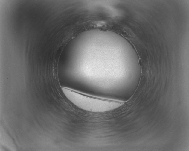 X0000069791442200605190831