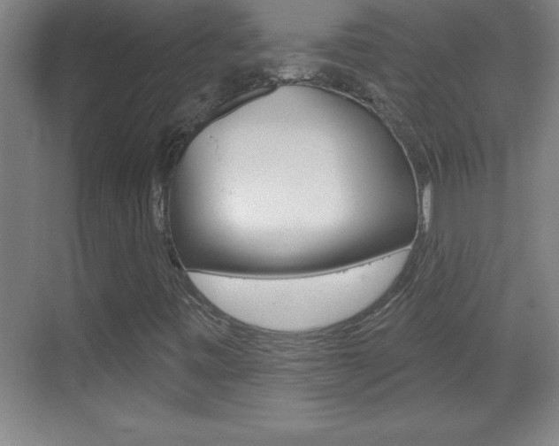 X0000069791443200605190831