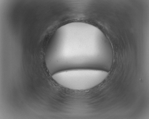 X0000069791447200605190831