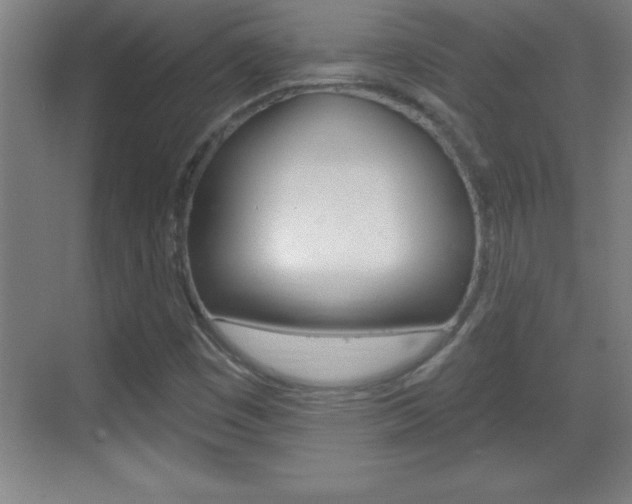 X0000069791449200605190831