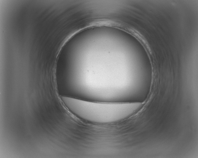X0000069791481200605190831