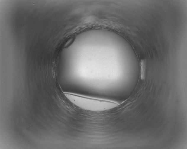 X0000069791491200605190830