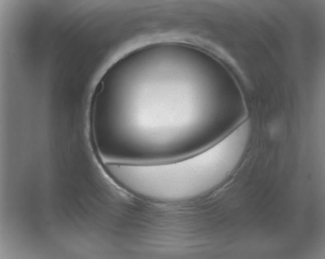 X0000069791512200605190830
