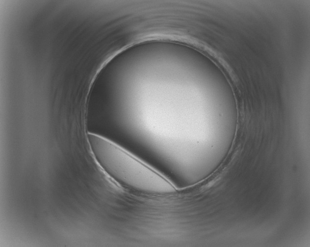 X0000069791529200605190830