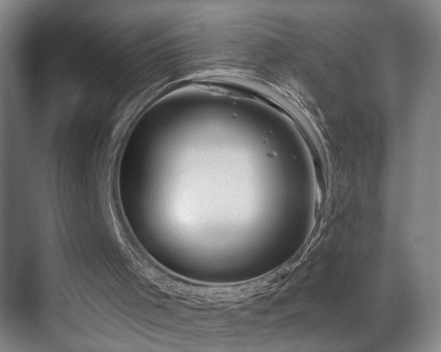 X0000069790001200605191050