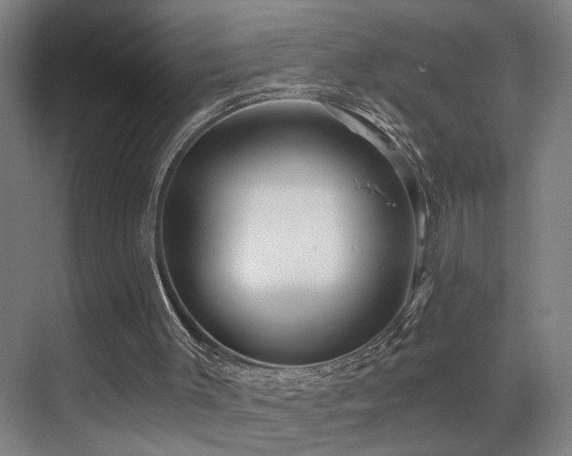 X0000069790003200605191050