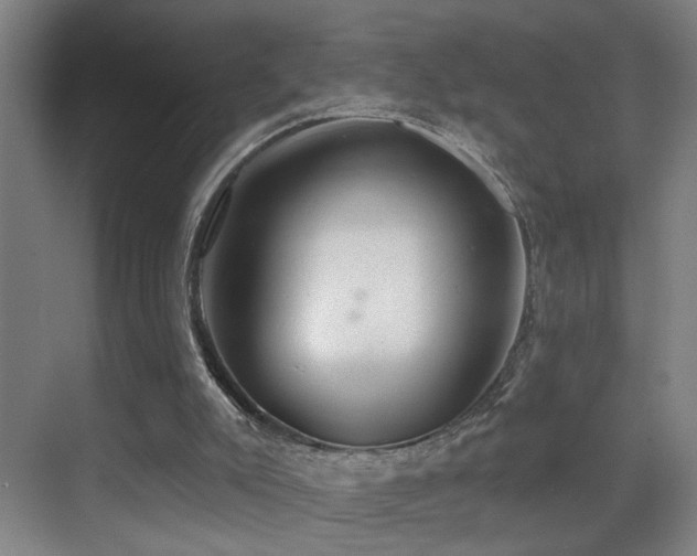 X0000069790007200605191050