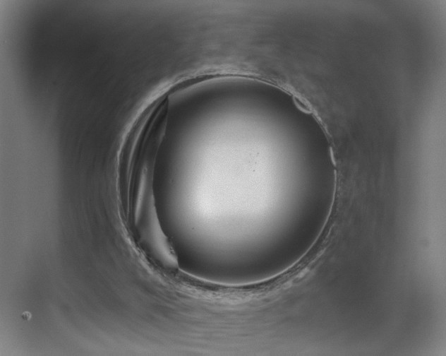 X0000069790008200605191050