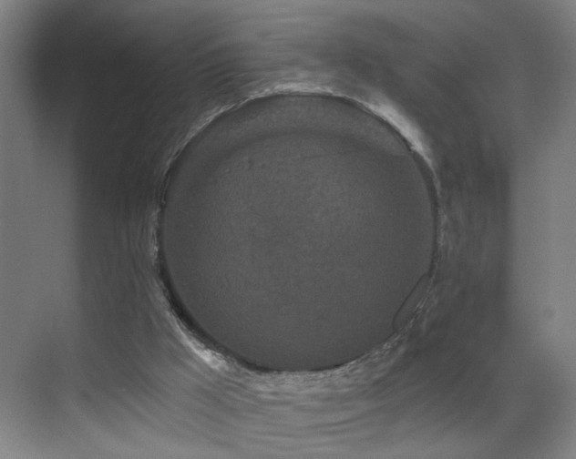 X0000069790009200605191050