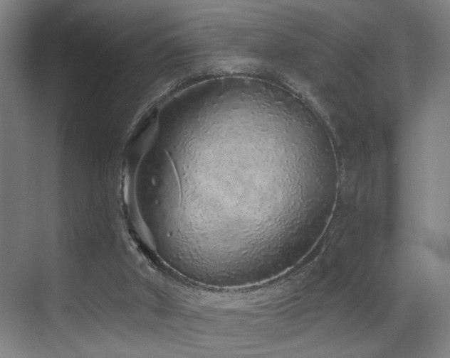 X0000069790010200605191050