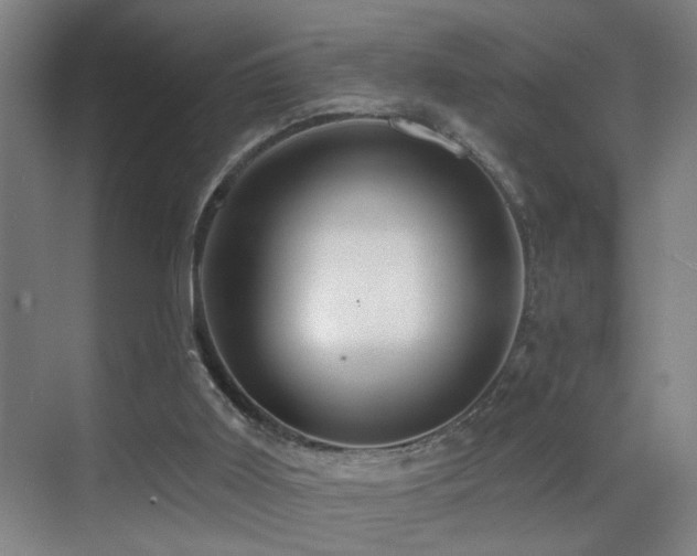 X0000069790011200605191050