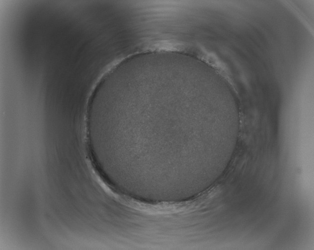 X0000069790012200605191050