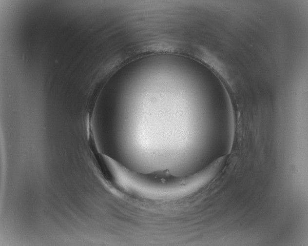 X0000069790013200605191050