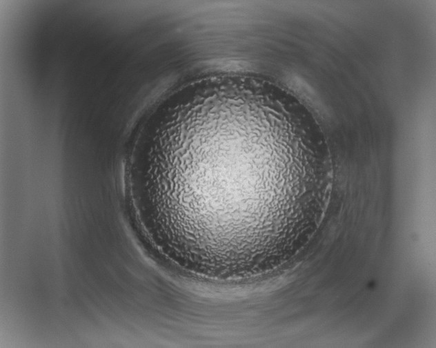 X0000069790014200605191050