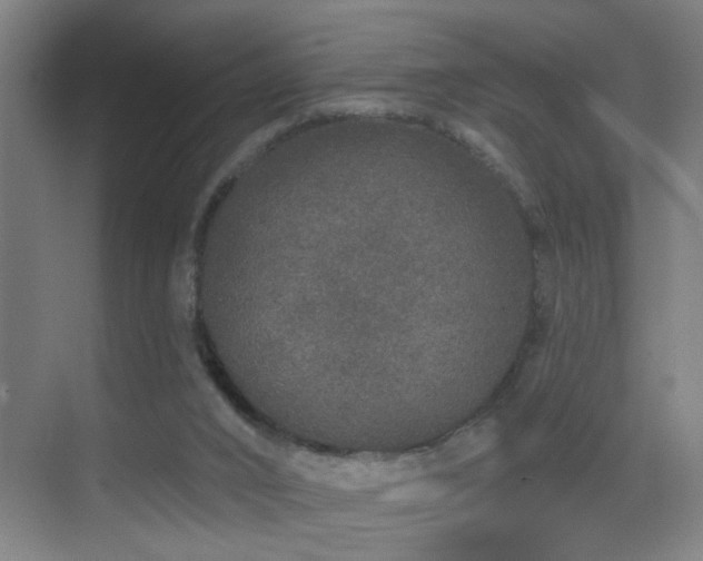 X0000069790016200605191050