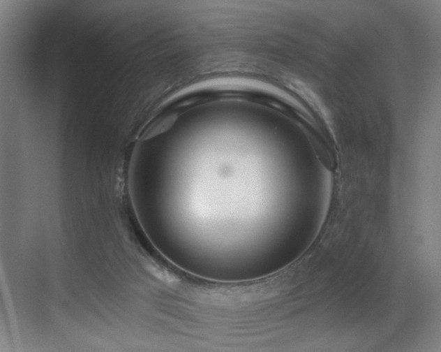 X0000069790017200605191050