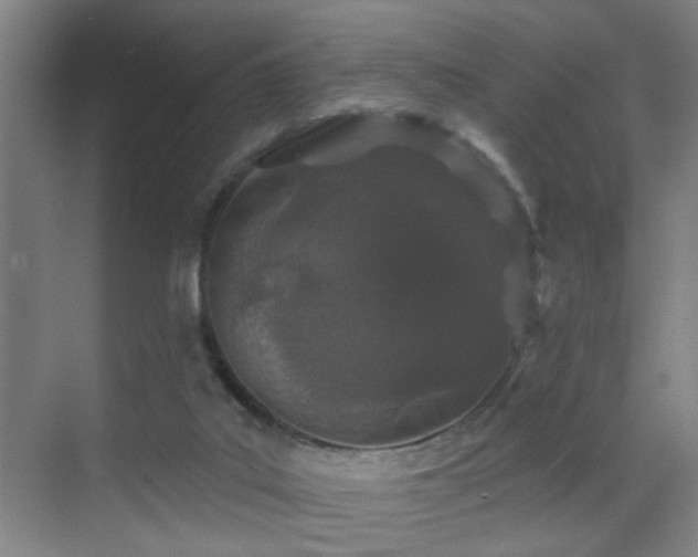 X0000069790019200605191050