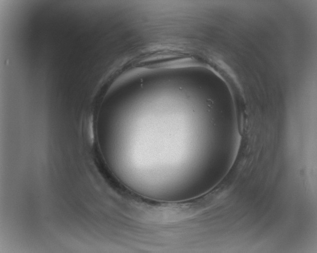 X0000069790020200605191050