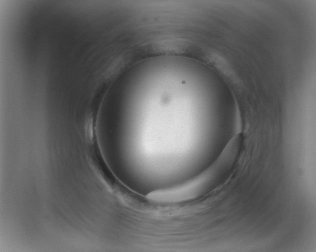 X0000069790021200605191050