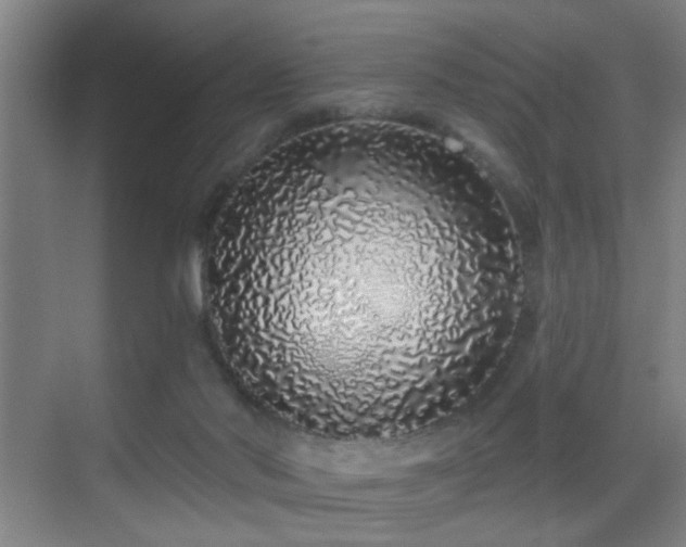 X0000069790022200605191050