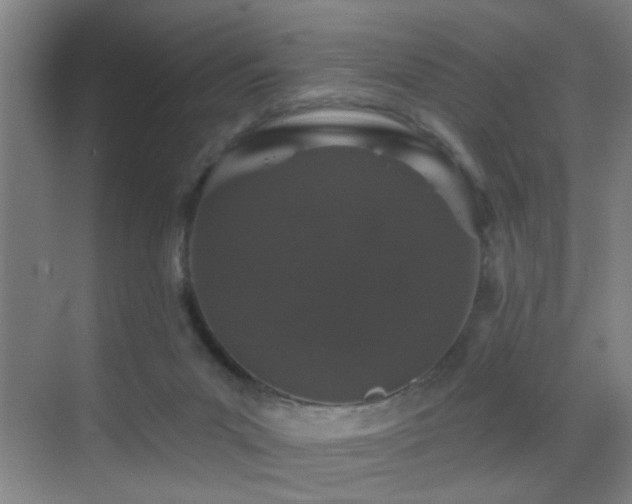 X0000069790023200605191050