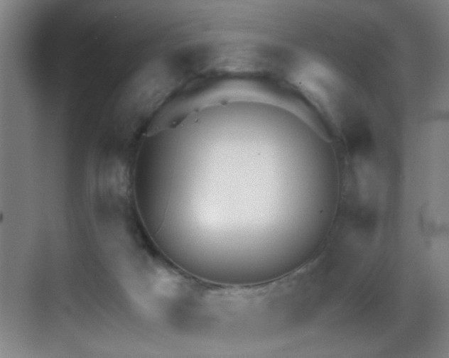 X0000069790025200605191050