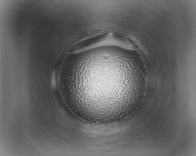 X0000069790026200605191050