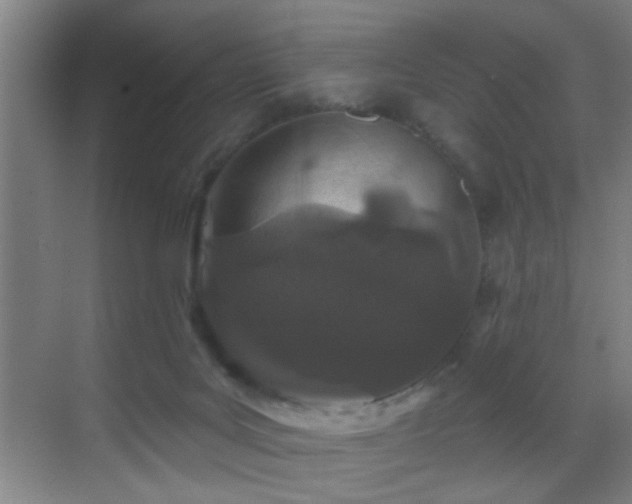 X0000069790027200605191050