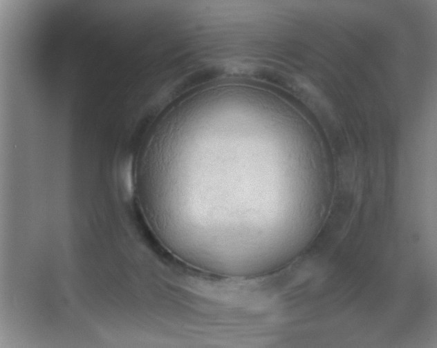 X0000069790028200605191050